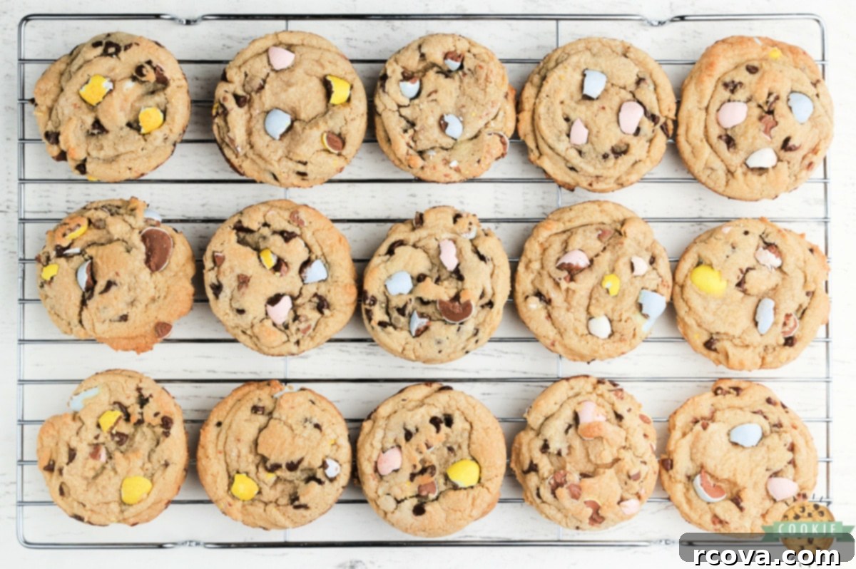 Cadbury Mini Egg Cookie Bliss 8 Chocolate chip cookies with Cadbury Mini Eggs
