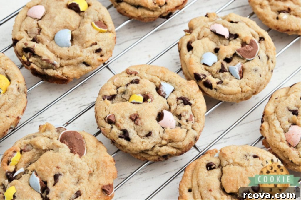 Cadbury Mini Egg Cookie Bliss 10 Cadbury Mini Egg Cookies are soft, chewy and filled with your favorite Easter candy! Delicious cookie recipe made with chocolate chips and crushed Cadbury Mini Eggs.