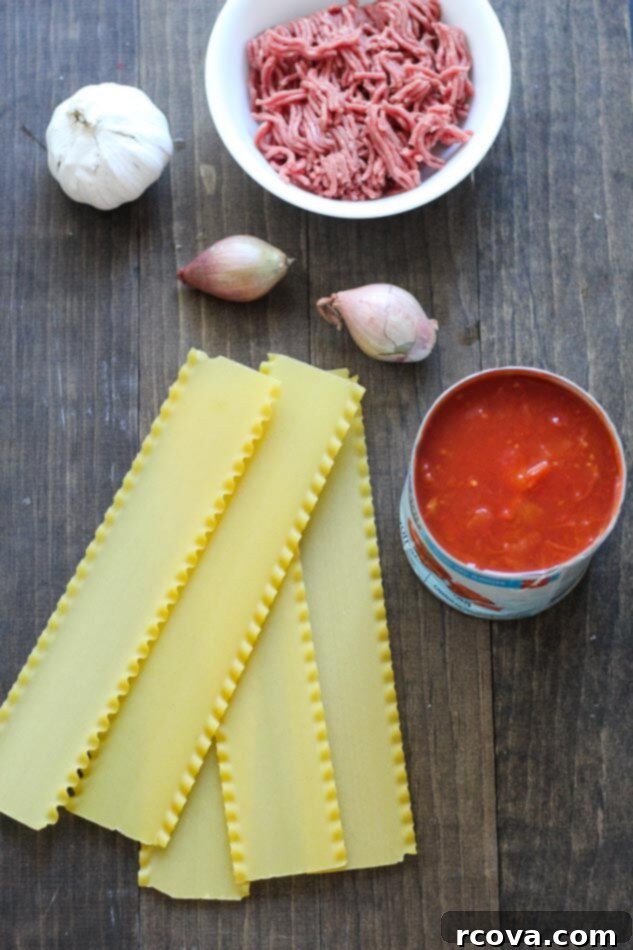 The Ultimate Online Lasagna 5 Assembling a homemade lasagna with layers of pasta, meat sauce, and cheese.