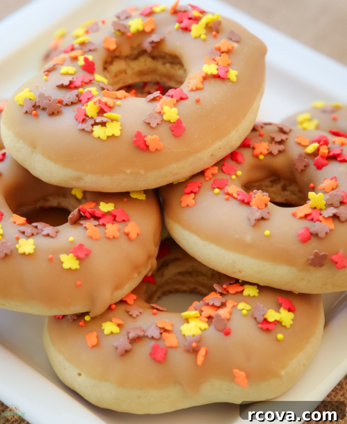 Maple Donut Delights 2 maple donut cookies on a plate