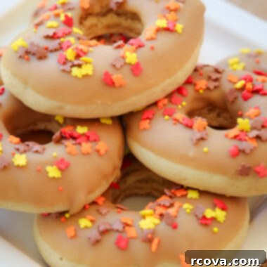 Maple Donut Delights 5 maple donut cookies on a plate