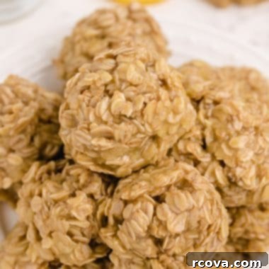 Zesty Lemon No-Bake Oatmeal Cookies 7 A top-down shot of several freshly made Lemon Oatmeal No Bake Cookies, perfectly round and ready to eat.