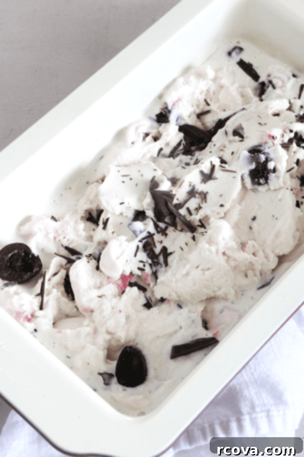 Decadent Cherry Chocolate FroYo 3 Close-up shot of creamy cherry frozen yogurt, with swirls of chocolate and cherry pieces.