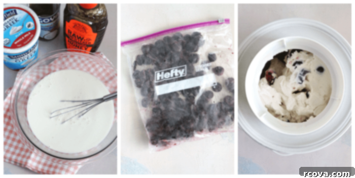Decadent Cherry Chocolate FroYo 4 Ingredients for cherry and chocolate frozen yogurt laid out, including frozen cherries, Greek yogurt, honey, and chocolate.