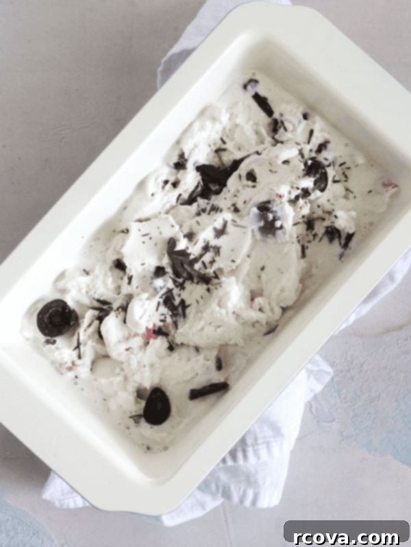Decadent Cherry Chocolate FroYo 6 Scoops of cherry and chocolate frozen yogurt in a clear glass, showing the creamy texture and cherry pieces.