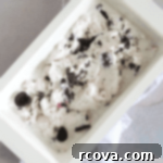 Decadent Cherry Chocolate FroYo 8 Cherry and Chocolate Frozen Yogurt in a bowl