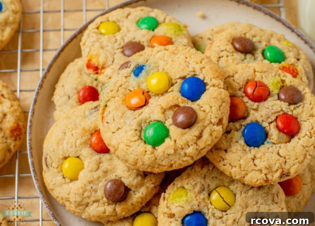 Chewy Peanut Butter Oatmeal M&M Bliss 4 img 9736 3