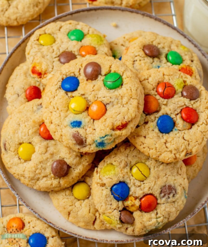 Chewy Peanut Butter Oatmeal M&M Bliss 10 img 9736 9
