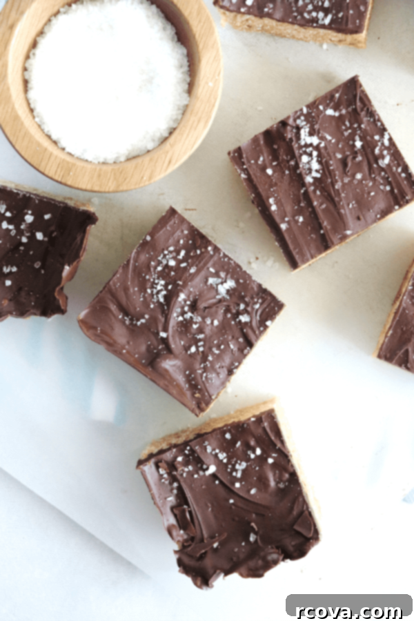 Salty Sweet Peanut Butter Chocolate Crunch 2 Delicious Salted Chocolate Peanut Butter Krispie Treats ready to be served
