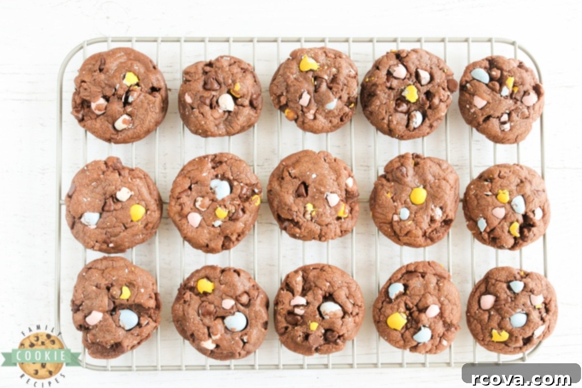 Decadent Cadbury Mini Egg Chocolate Cookies 8 Chocolate cookies with Cadbury Mini Eggs
