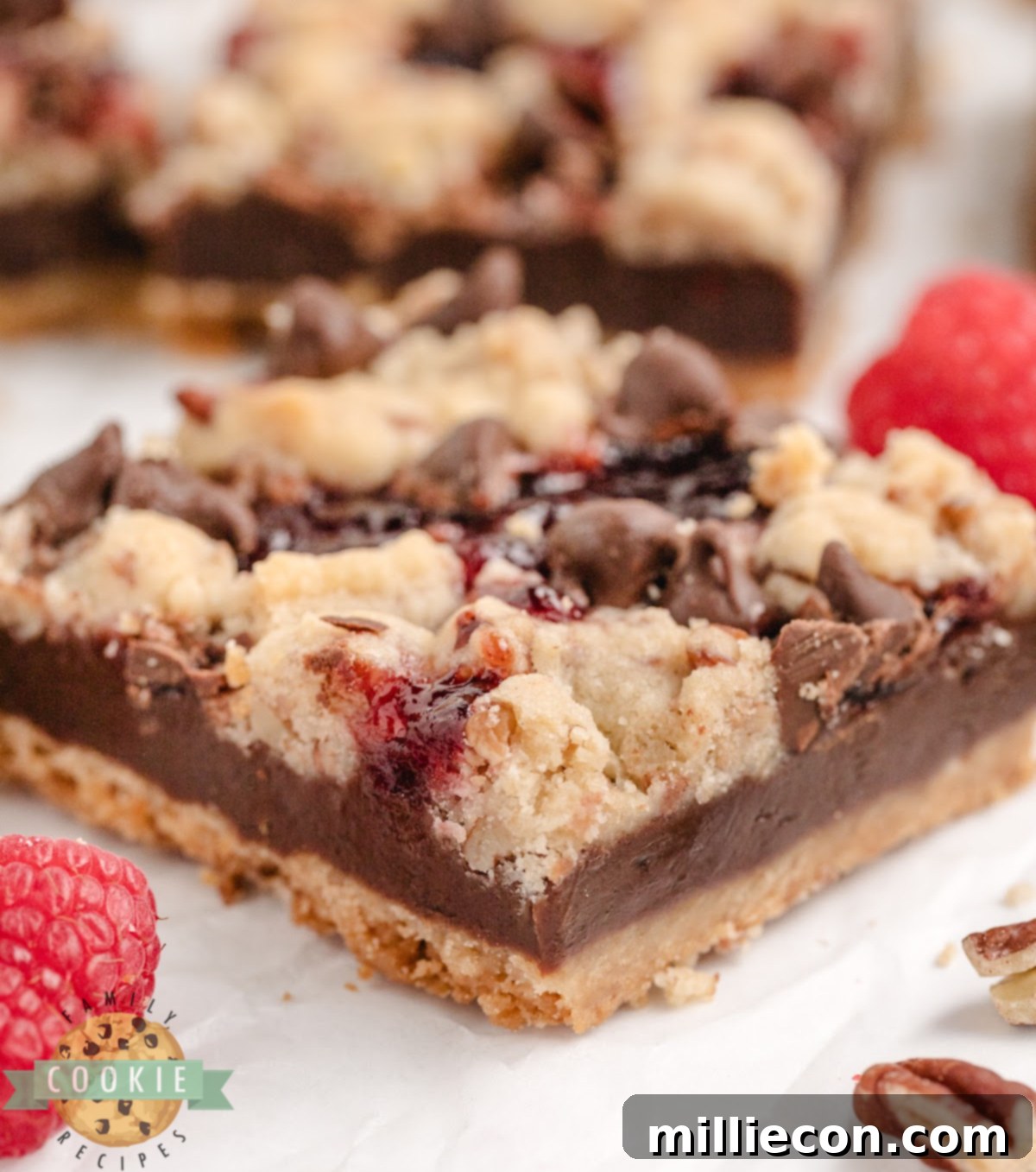 Chocolate Raspberry Crumble Bars 2 Close-up of chocolate raspberry shortbread bars with jam and chocolate chips.