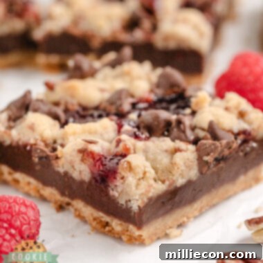 Chocolate Raspberry Crumble Bars 6 img 63404 5